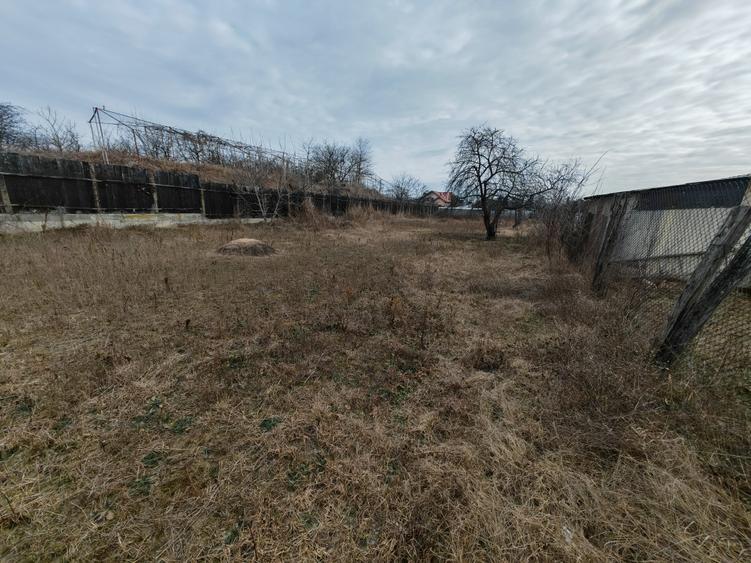 Teren Construcții intravilan de 2005 mp, în Letea