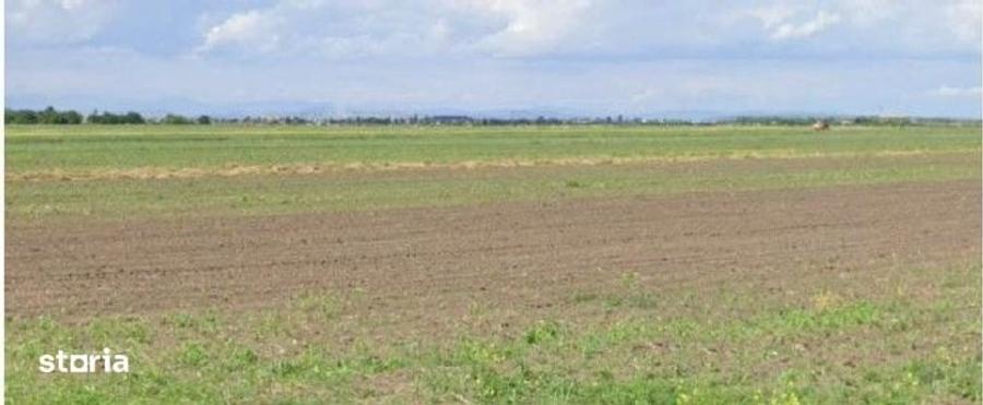 Teren de 5000 mp, în Mănești