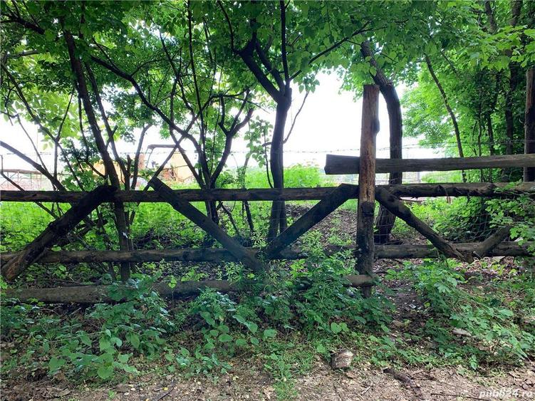 Teren de 5000 mp, în Potigrafu