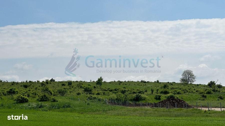 Teren Extravilan zona Episcopia,Oradea, judetul Bihor,Gaminvest,V3160B - 3