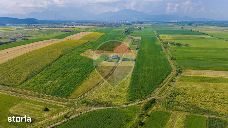 Teren de 1400 mp, în Central