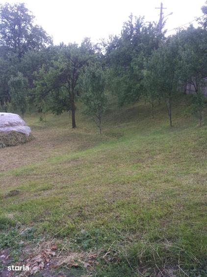 Teren de 1000 mp, în Măneciu