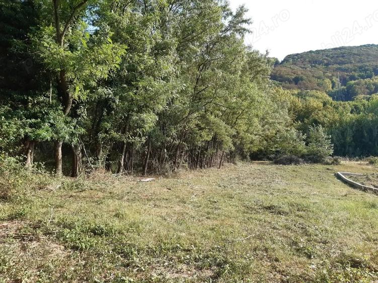 Teren în Marginea