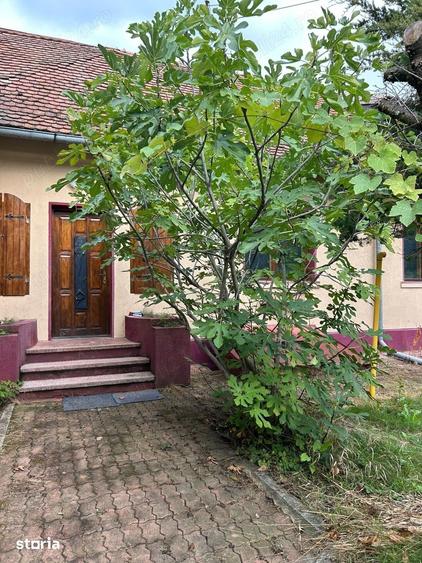 Casă cu 3 camere cu Teren 620 Mp în Central