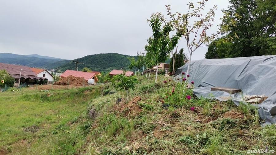 Teren de 1217 mp, în Eșelnița