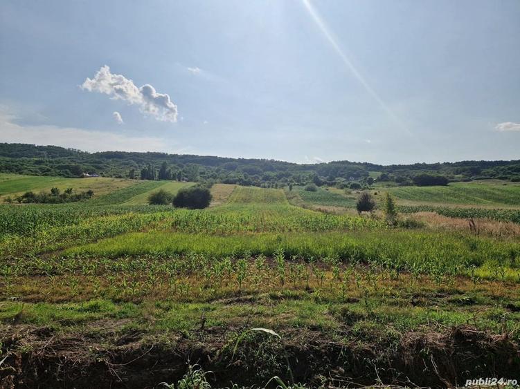 Teren de 9570 mp, în Ionești