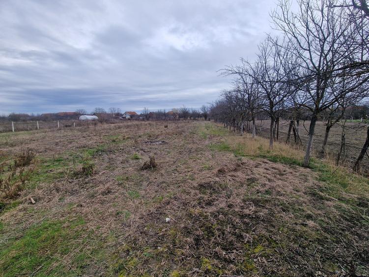 Casă cu 4 camere în Șomoșcheș