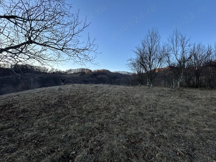 Teren de 4000 mp, în Gurguiata