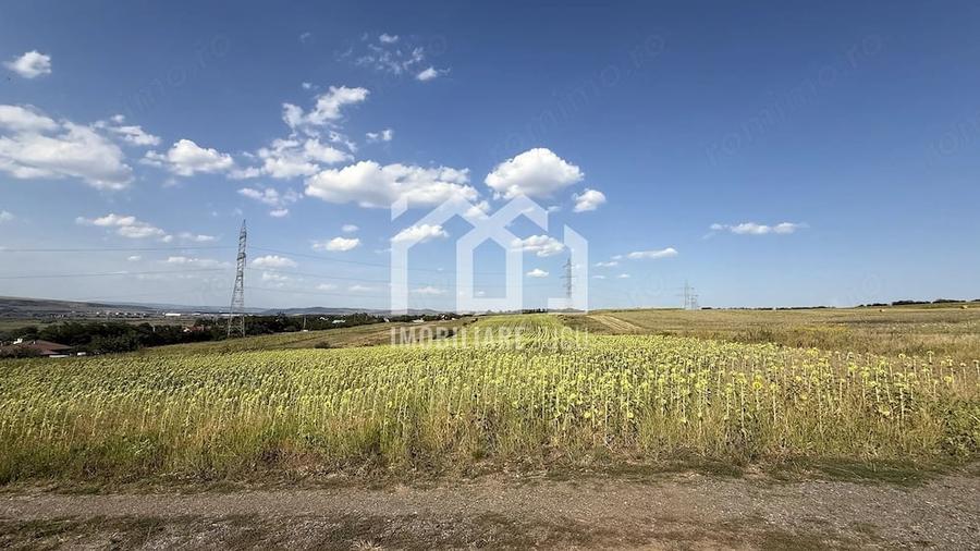 Teren de 11600 mp, în Jucu