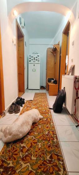 Apartament cu 2 camere decomandat în Ultracentral
