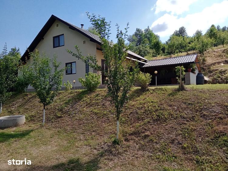Casă cu 3 camere cu Teren 9700 Mp în Stulpicani