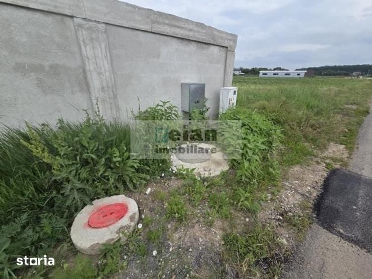 Teren de 1100 mp, în Ciolpani