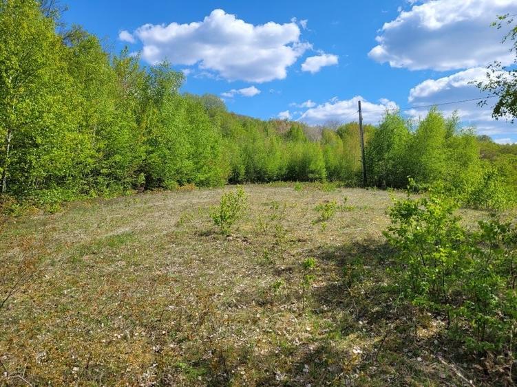 Teren de 70000 mp, în Șerani