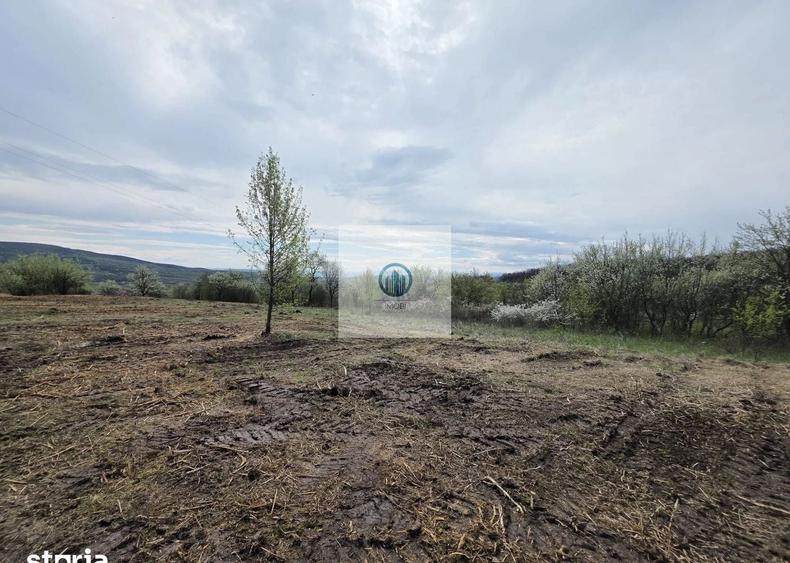 Teren agricol extravilan de 6704 mp, în Hărău