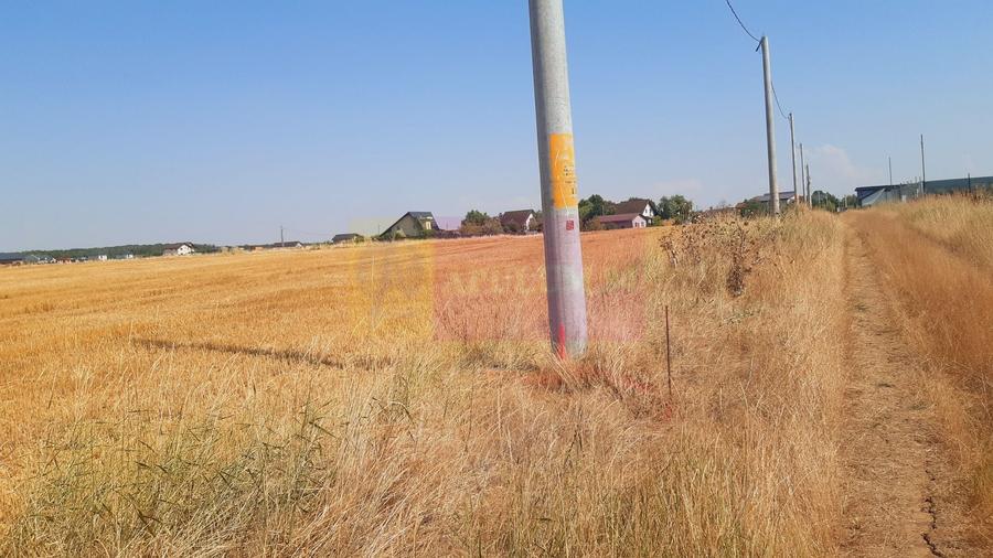 Teren Construcții intravilan de 2000 mp, în Brănești