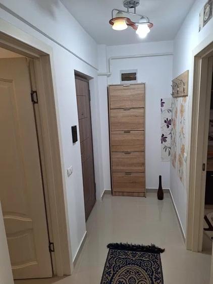 Apartament cu 1 cameră, decomandat, zona Podu Ros - 3