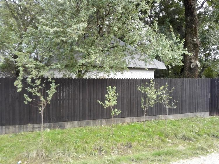 Teren de 1980 mp, în Ștefan cel Mare