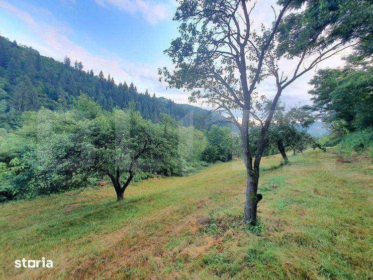 Teren intravilan, 31 ari, Ilva Mica, zona montana - 2