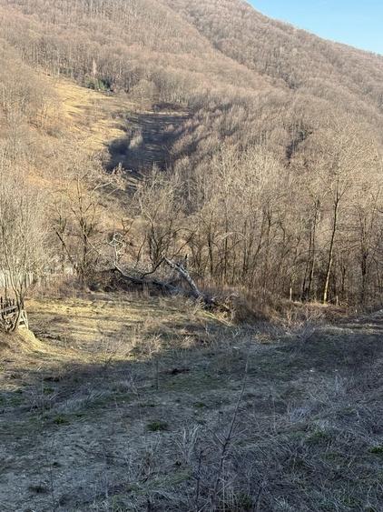 Teren de 1780 mp, în Valea Doftanei