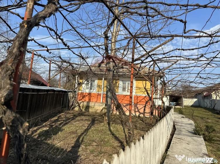 Casă cu 3 camere cu Teren 2609 Mp în Bârgăuani