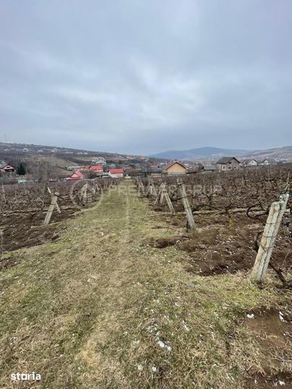 Teren intravilan pentru dezvoltare 4.209mp, Tomesti - 3