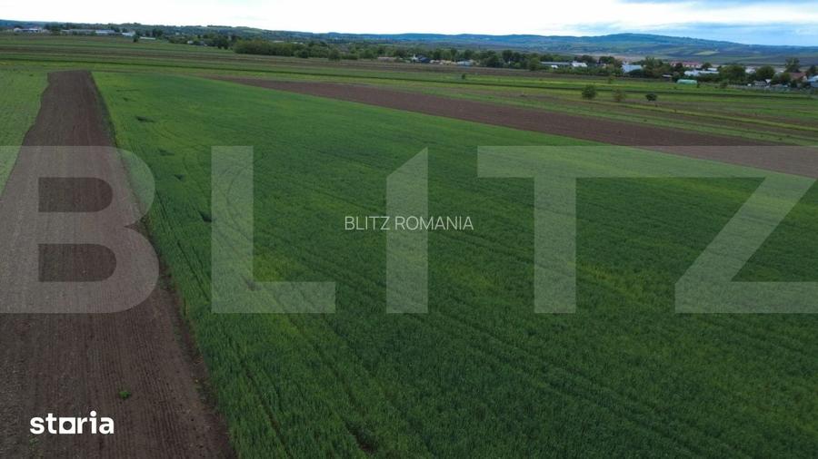 Teren agricol, 5.200 mp, Comuna Sendriceni