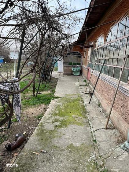 Vand teren+casa Valea Dragului - 4