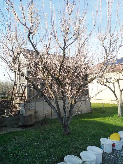 Casă cu 4 camere în Petid
