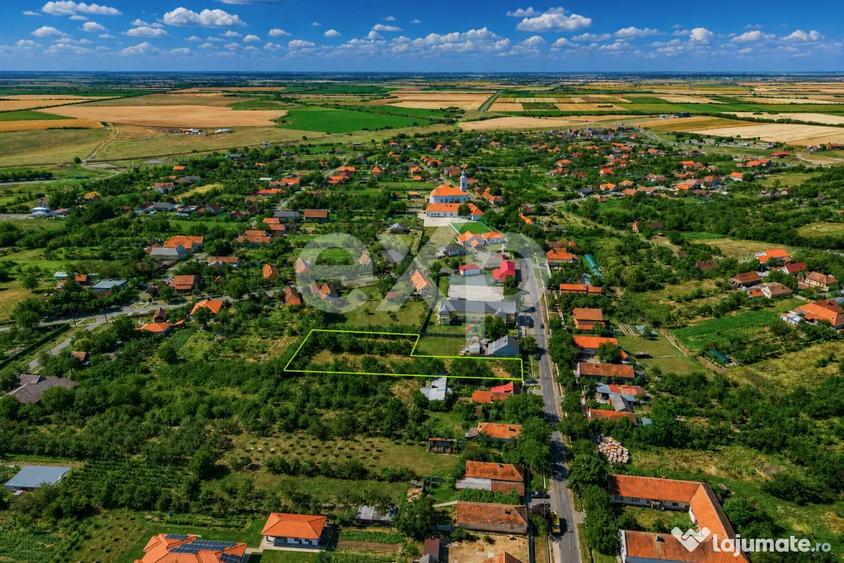 Teren în Ianova