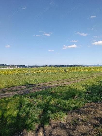 Teren de 1500 mp, în Central