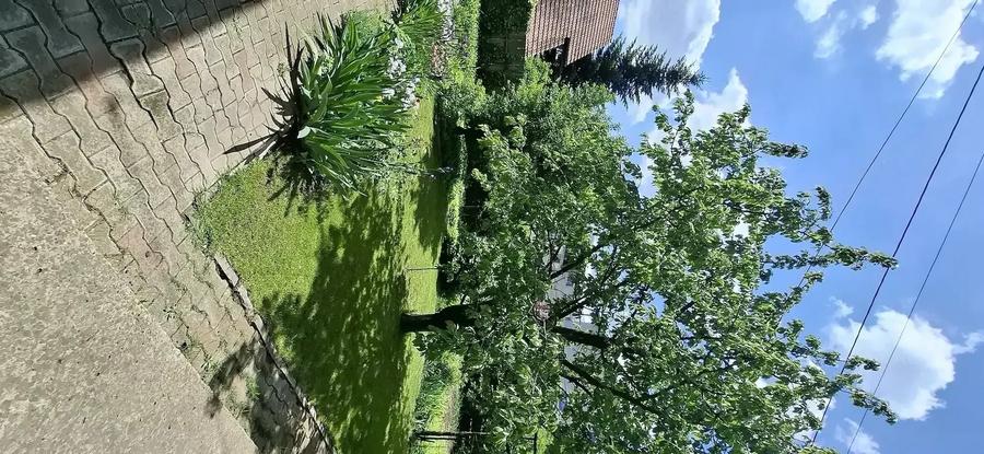 Casă cu Teren 600 Mp în Valea Lupului