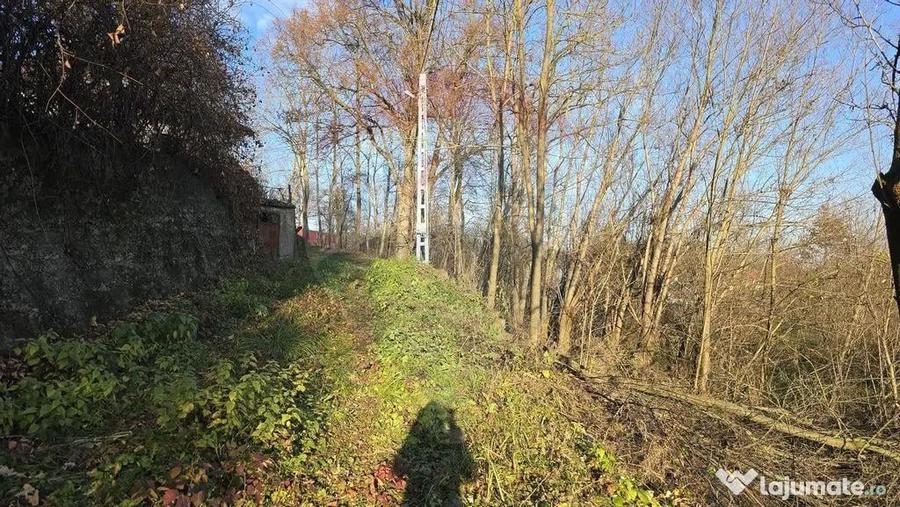 Teren de vanzare in Fratautii Noi / Strada Dealului - 14