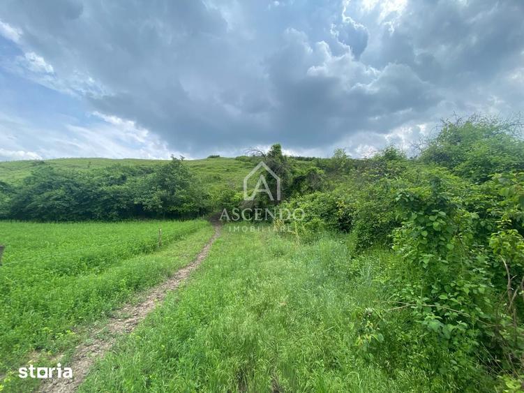 Teren de 15900 mp, în Năeni