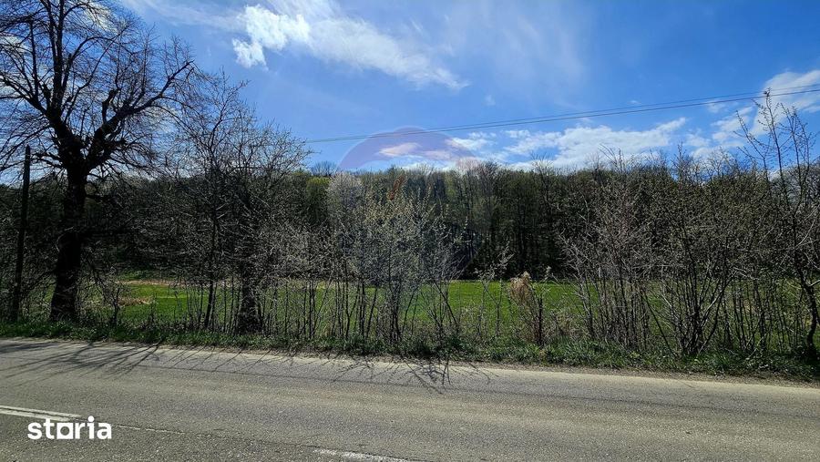 Teren de 10000 mp, în Vânători-Neamț