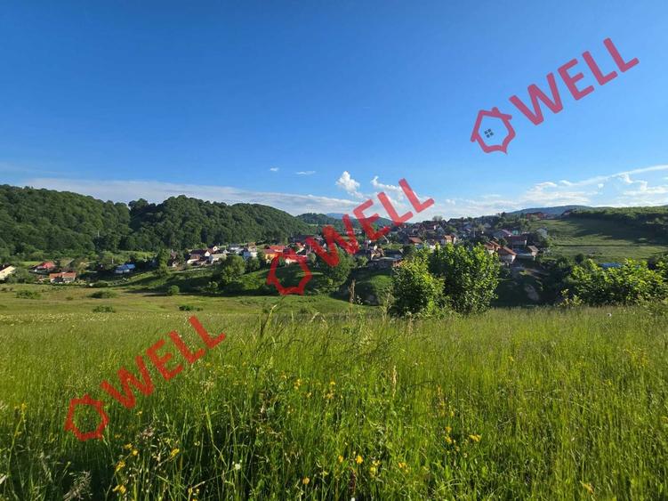 Teren extravilan de 8163 mp, în Acriș