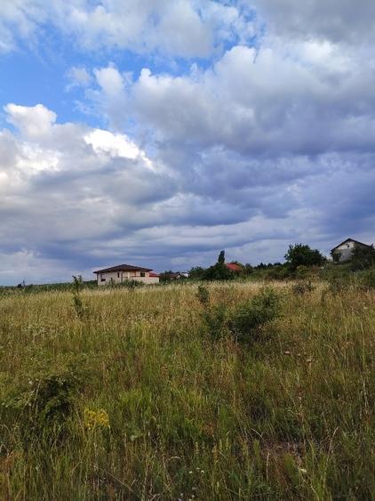 Vînd teren extavilan la 3 km de auchan iris - 2