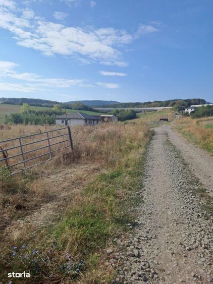 Teren de 25000 mp, în Central