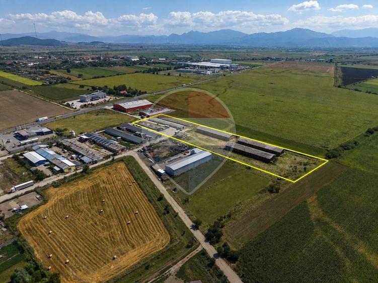 Teren de 17500 mp, în Hălchiu