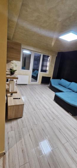 Apartament 2 camere de inchiriat - 16