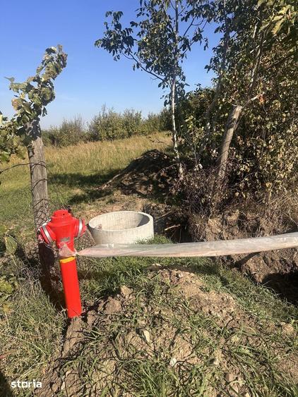 Teren de 1000 mp, în Popricani