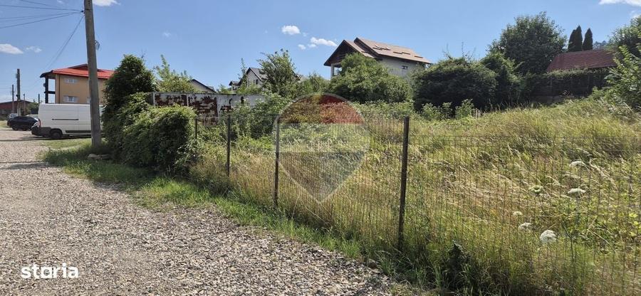 Spațiu comercial, în Valea Albă