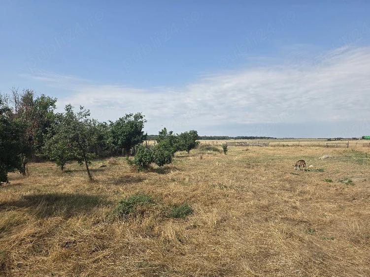 Casă cu Teren 1300 Mp în Sudiți