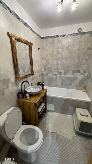 Casă cu 3 camere cu Teren 3400 Mp în Bascov