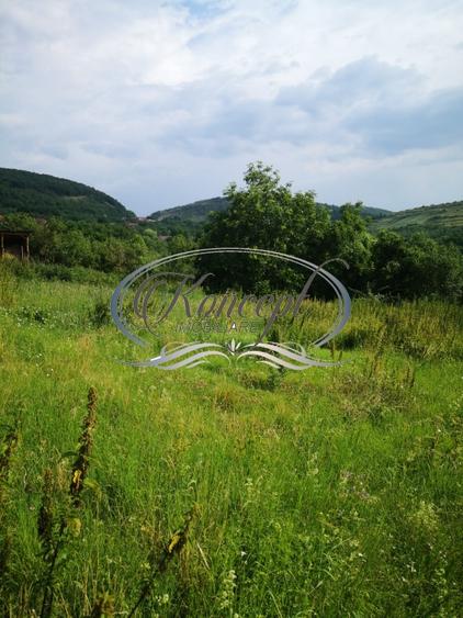 Teren Construcții intravilan de 773 mp, în Ciurila