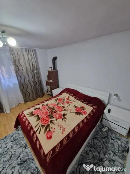 Casa de vanzare Baile?ti 100 mp, curte proprie - 4