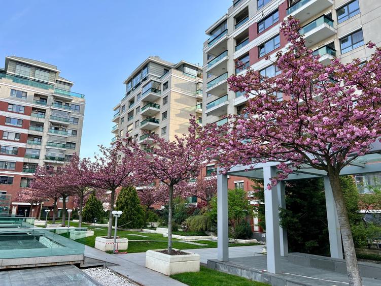 Duplex cu 6 camere cu Garaj în Barbu Văcărescu