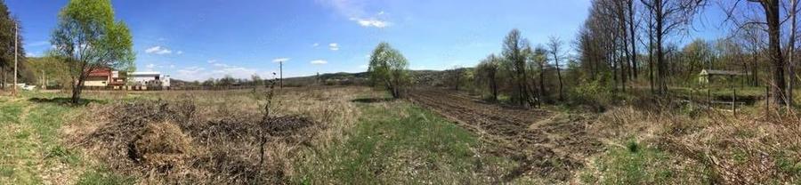 Proprietar,Teren Valea Ursului la 5km de Pitesti - 2