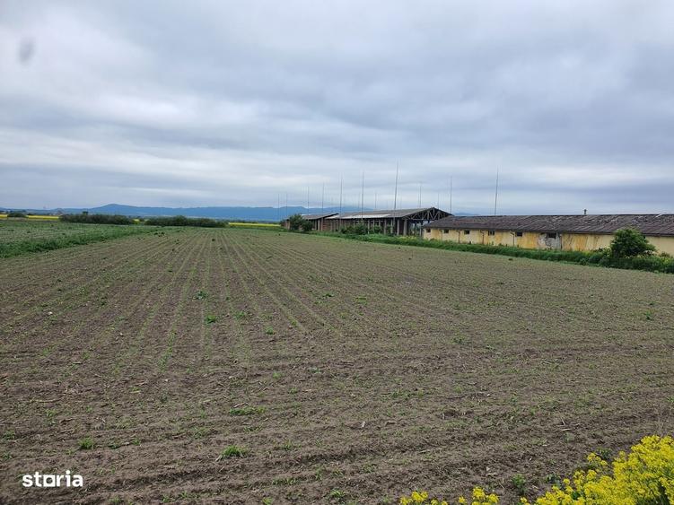 Teren Industrial Brasov - Halchiu cu deschidere la DN 13 - 3