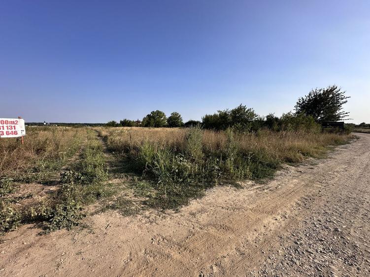 Teren Construcții intravilan de 3000 mp, în Tâncăbești