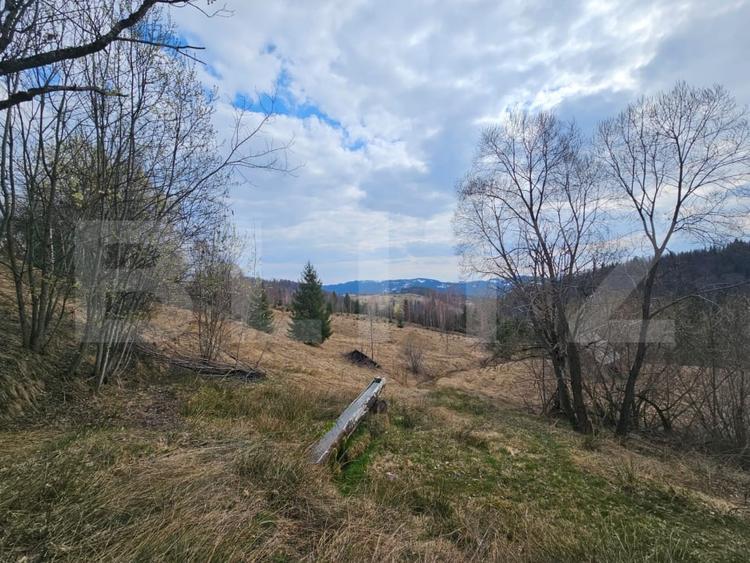 Teren Construcții intravilan de 22267 mp, în Scărișoara